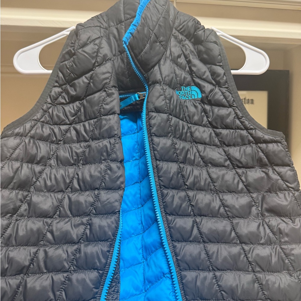 The North Face Kids Quilted Black and Blue Vest